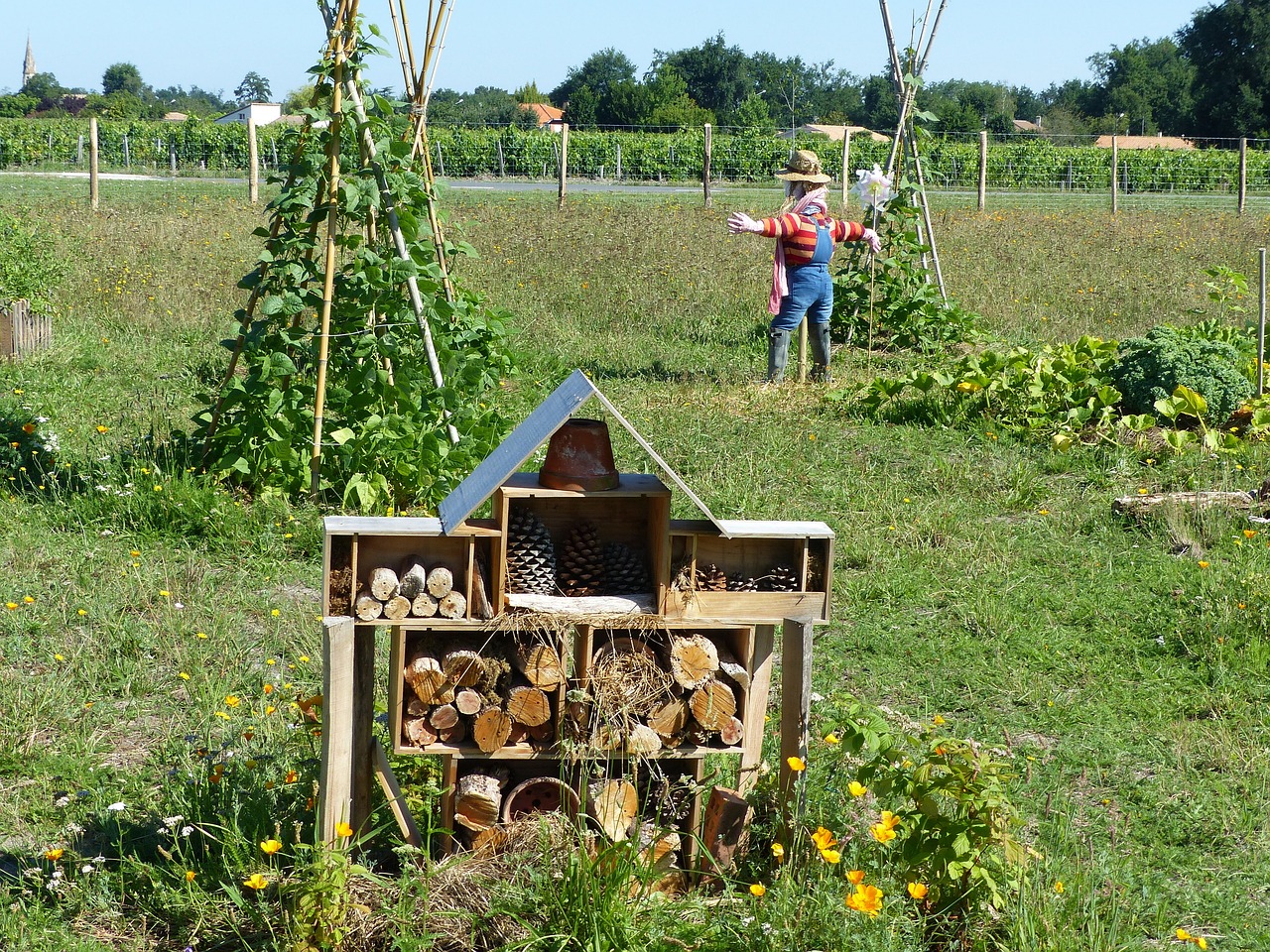 découvrez la permaculture, une méthode de culture durable qui s'inspire des écosystèmes naturels. apprenez à créer des jardins auto-suffisants et à favoriser la biodiversité tout en préservant les ressources naturelles.