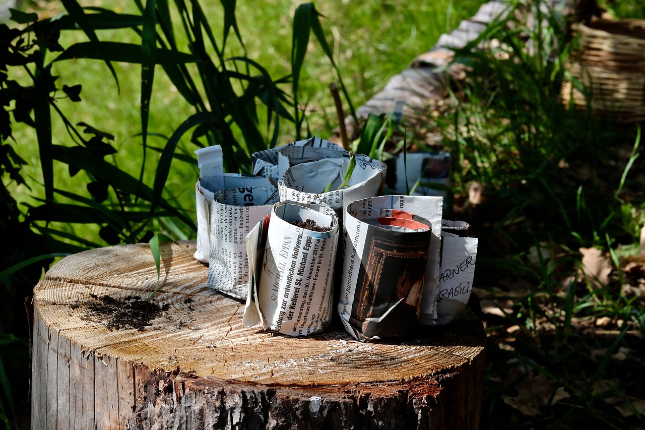 découvrez la permaculture, une méthode agricole durable qui favorise l'harmonie entre l'homme et la nature. apprenez à cultiver votre jardin de manière écologique, à préserver la biodiversité et à optimiser les ressources pour un avenir plus responsable.