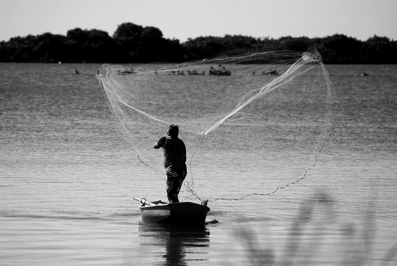 découvrez les pratiques de la pêche durable qui préservent les écosystèmes marins tout en garantissant des ressources pour les générations futures. apprenez comment une approche responsable peut bénéficier à l'environnement et à l'économie locale.