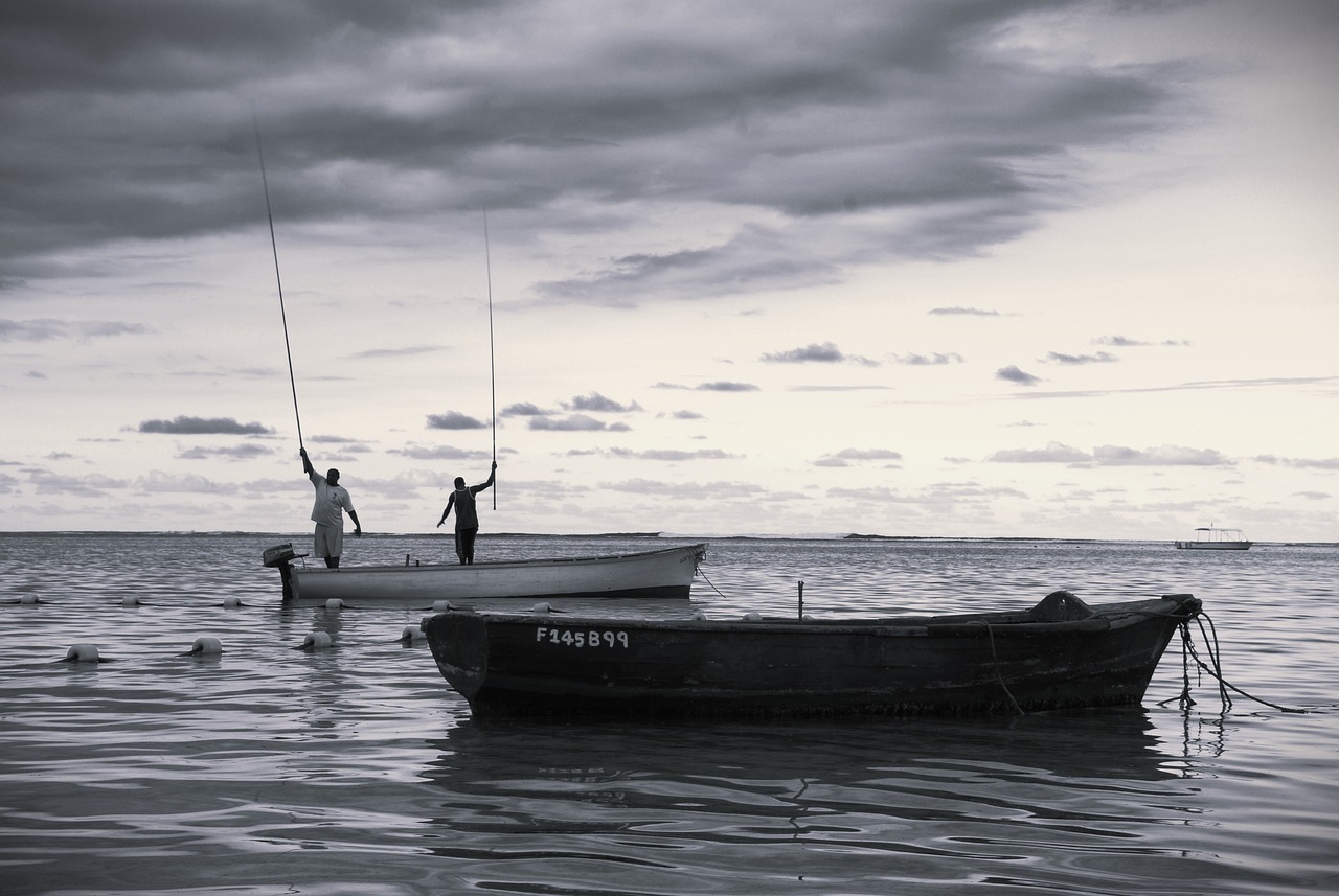 découvrez les enjeux de la pêche durable : préservation des écosystèmes marins, méthodes responsables et activités de pêche respectueuses de l'environnement. engagez-vous pour une mer plus saine tout en savourant des fruits de mer savoureux et responsables.