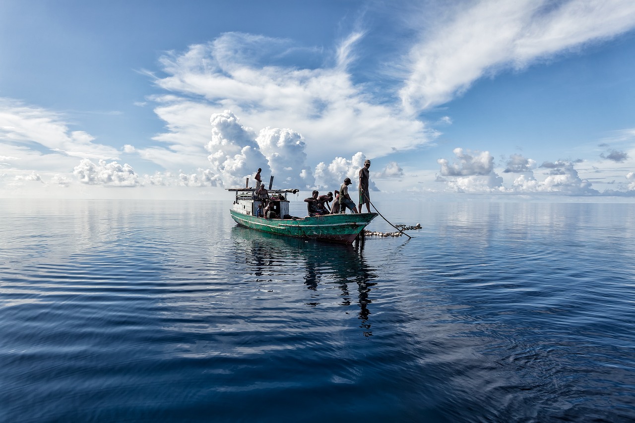 découvrez les pratiques de la pêche durable, un équilibre essentiel entre préserver nos ressources marines et satisfaire les besoins humains. apprenez comment la pêche responsable contribue à la santé des écosystèmes océaniques et à la biodiversité.