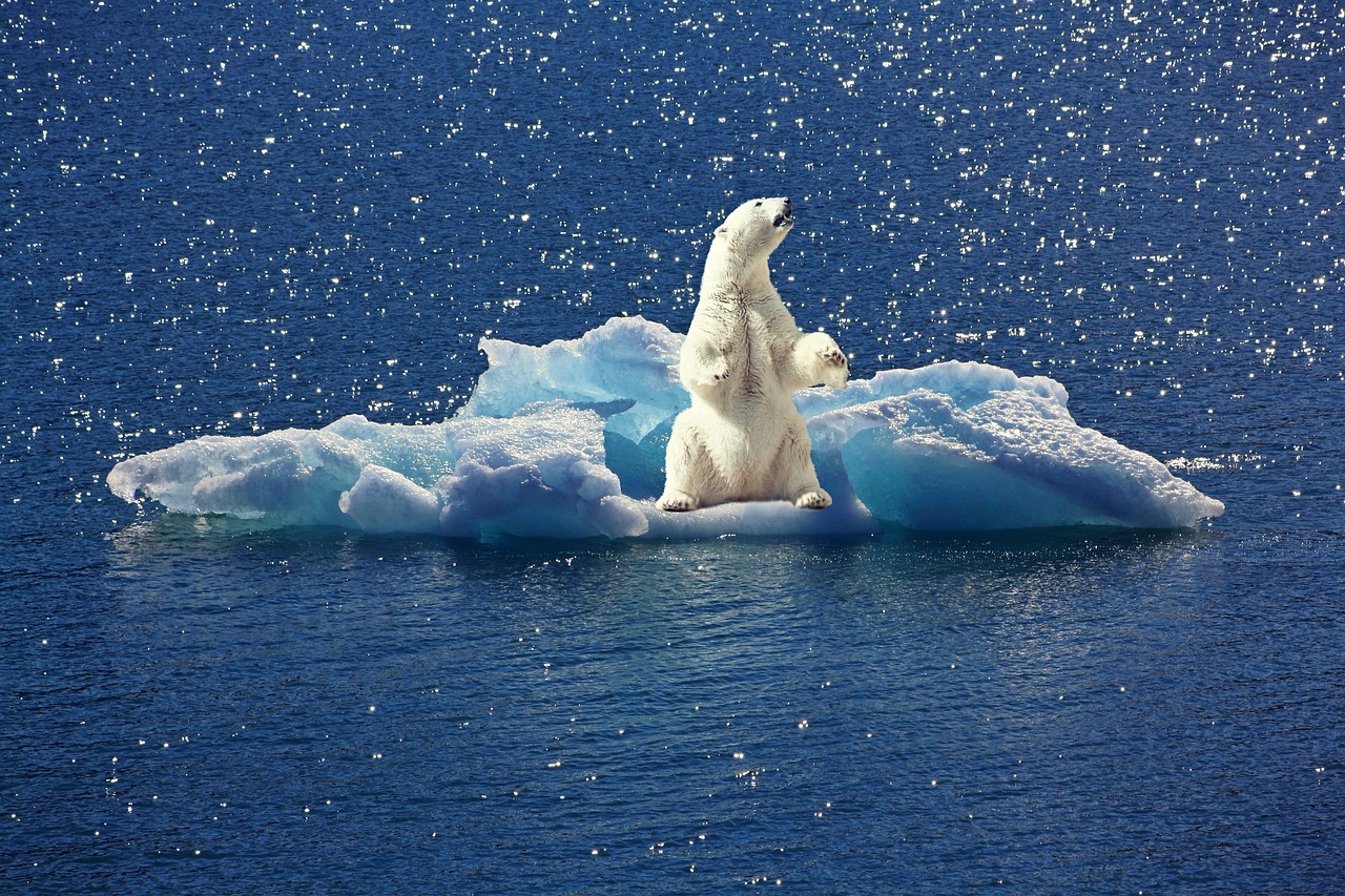 découvrez comment le changement climatique impacte notre planète et quelles actions nous pouvons entreprendre pour préserver notre environnement. informez-vous sur les causes, les conséquences et les solutions durables face à cette problématique mondiale.