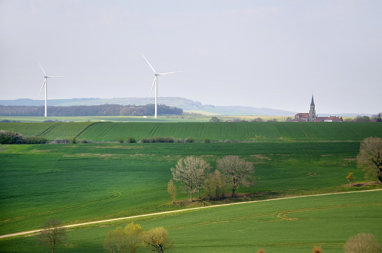 découvrez les principes du développement durable, une approche qui équilibre croissance économique, équité sociale et protection de l'environnement. explorez les initiatives et les pratiques pour un avenir plus durable et responsable.