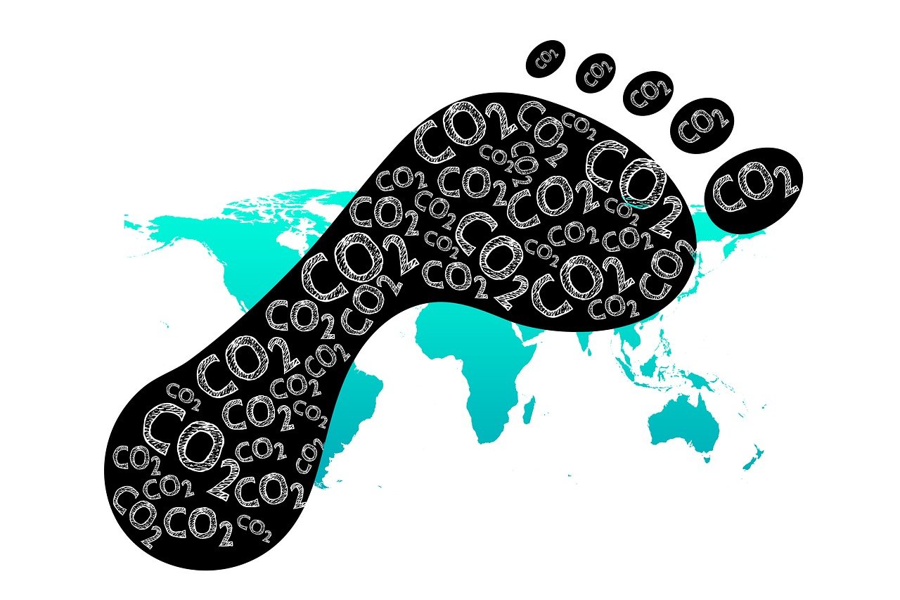 découvrez les dernières avancées écologiques qui transforment notre monde. explorez les innovations durables et les solutions respectueuses de l'environnement qui façonnent un avenir plus vert et responsable.