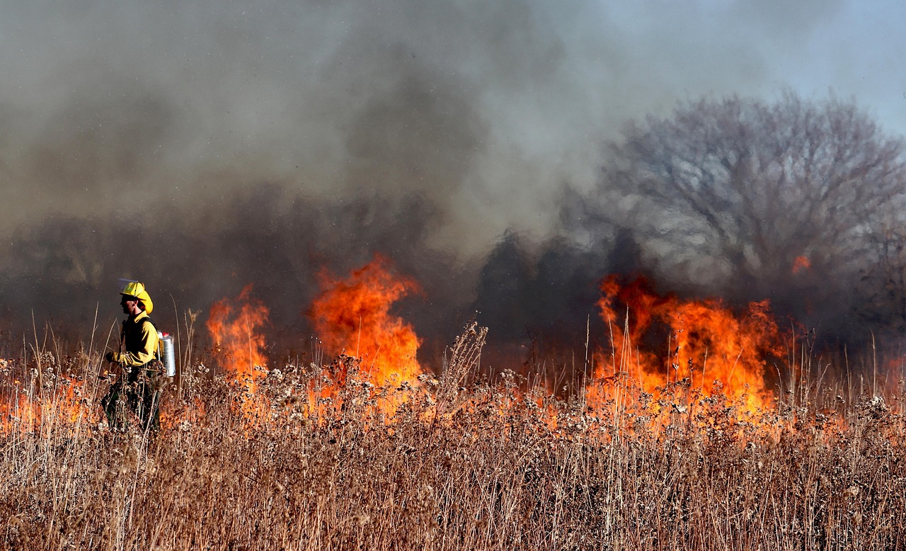 découvrez comment les incendies de forêt se propagent, leurs conséquences sur l'environnement et les stratégies de lutte mises en place pour protéger nos forêts et communautés. informez-vous sur les enjeux et les solutions face à ce phénomène naturel dévastateur.