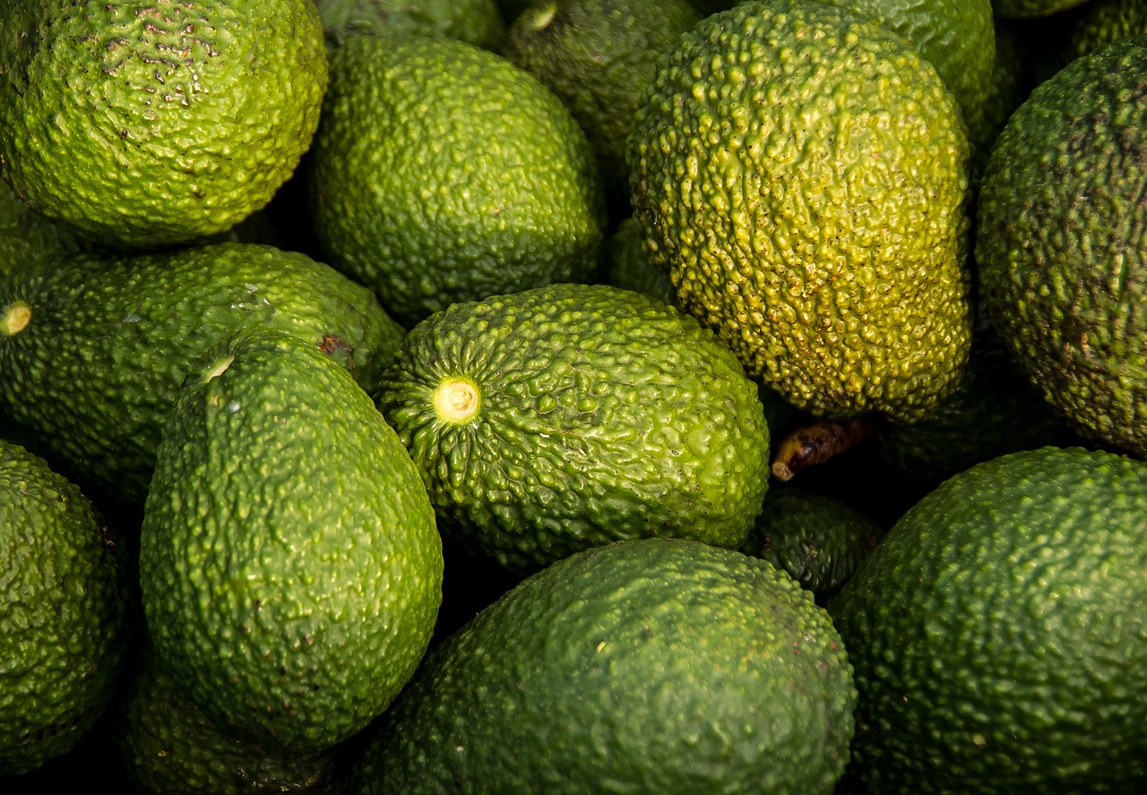 découvrez les bienfaits de l'avocat, ce super-aliment riche en nutriments et en saveurs. apprenez à l'intégrer dans vos recettes saines et savoureuses pour une alimentation équilibrée.