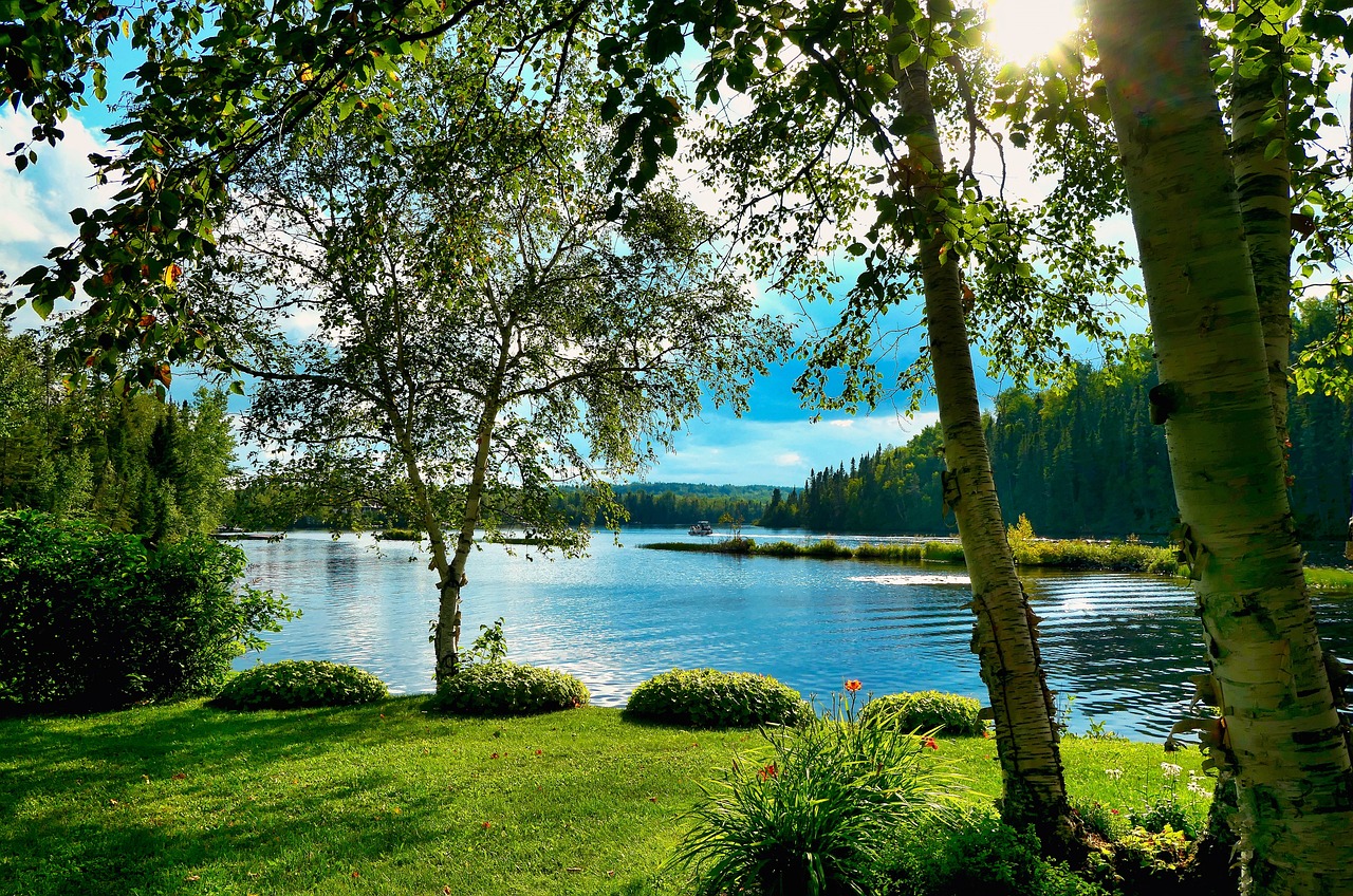 découvrez l'importance de la biodiversité pour notre planète, son rôle dans l'écosystème et les actions que chacun peut entreprendre pour la préserver. plongez au cœur de la richesse naturelle qui nous entoure et engagez-vous pour un avenir durable.