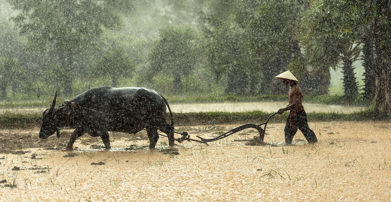 découvrez le monde fascinant des agriculteurs, leur rôle essentiel dans notre société, et comment ils cultivent nos aliments avec passion et durabilité. explorez des histoires inspirantes, des méthodes agricoles innovantes et l'impact des pratiques agricoles sur l'environnement.