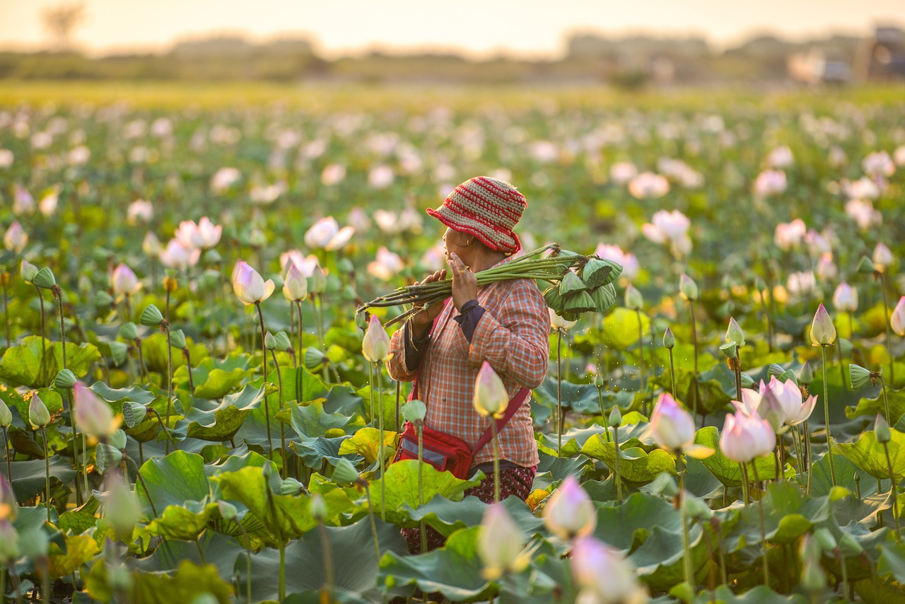 découvrez le monde fascinant des agriculteurs, leurs techniques de culture, leurs défis quotidiens et leur rôle essentiel dans la production alimentaire. plongez dans l'agriculture durable et l'innovation qui transforment nos fermes aujourd'hui.