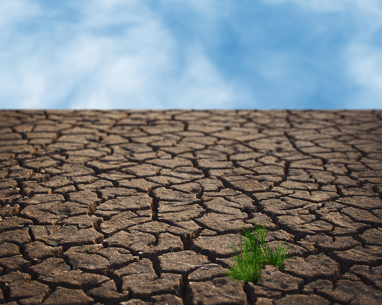 découvrez les enjeux de la transformation des terres, ses impacts sur l'environnement, l'économie et la société, ainsi que les stratégies durables pour gérer le changement d'utilisation des sols.