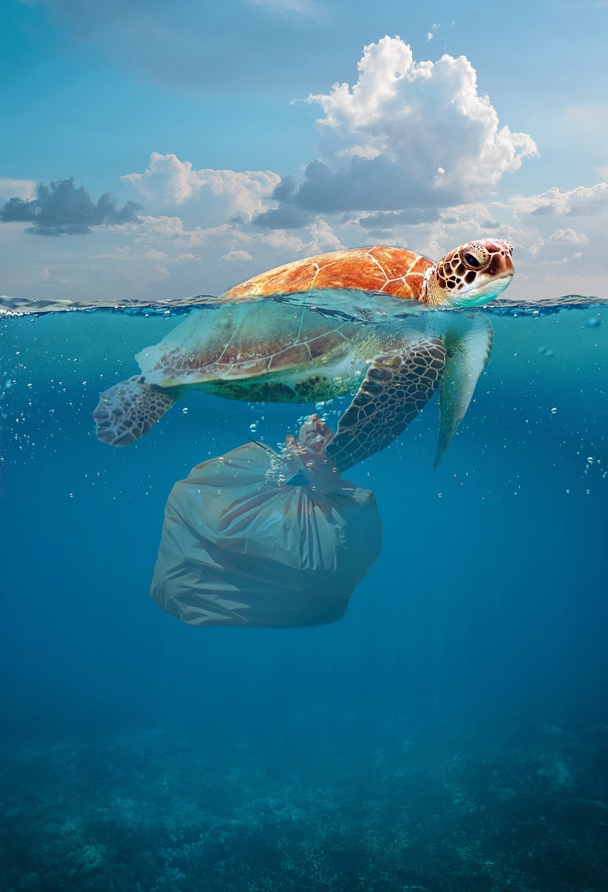 découvrez l'impact dévastateur de la pollution plastique dans nos océans. informez-vous sur les causes, les conséquences et les actions à entreprendre pour protéger la vie marine et préserver notre planète.