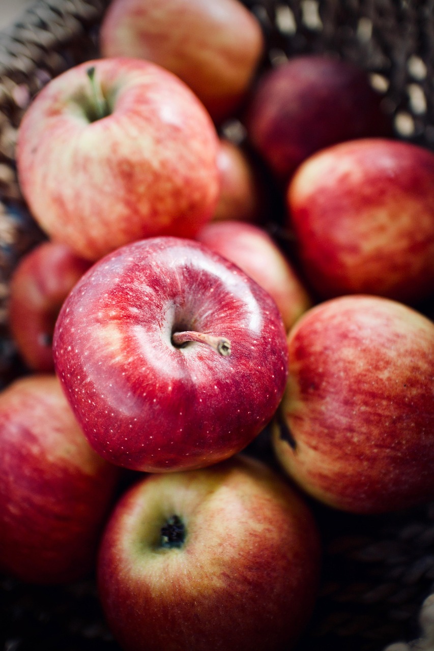 découvrez les bienfaits de la promotion de l'agriculture biologique : des pratiques durables pour préserver notre environnement, améliorer la qualité des aliments et soutenir les agriculteurs. engagez-vous pour un avenir plus sain et respectueux de la nature.