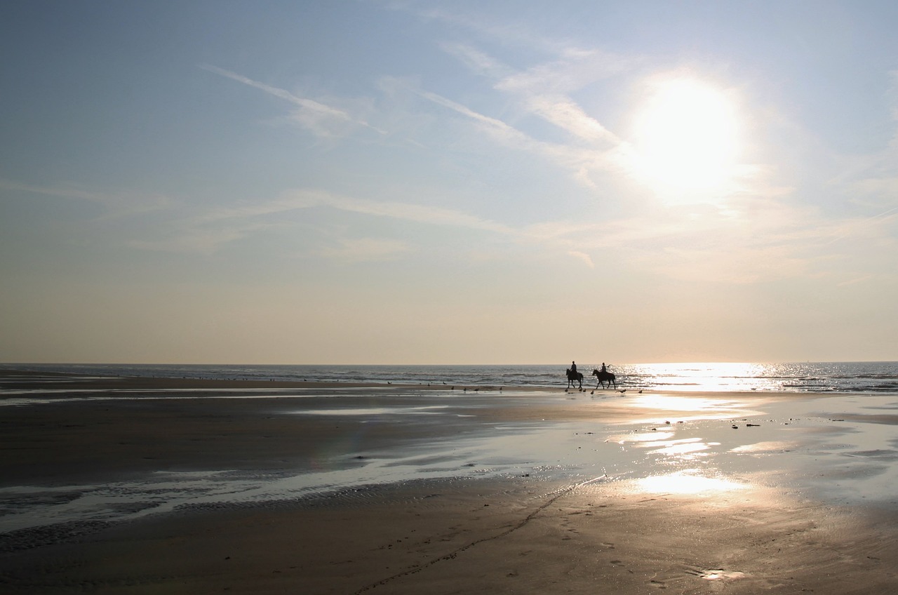 découvrez les causes et les conséquences de l'élévation du niveau de la mer, un phénomène alarmant lié aux changements climatiques, et explorez les solutions pour atténuer son impact sur les côtes et les écosystèmes.