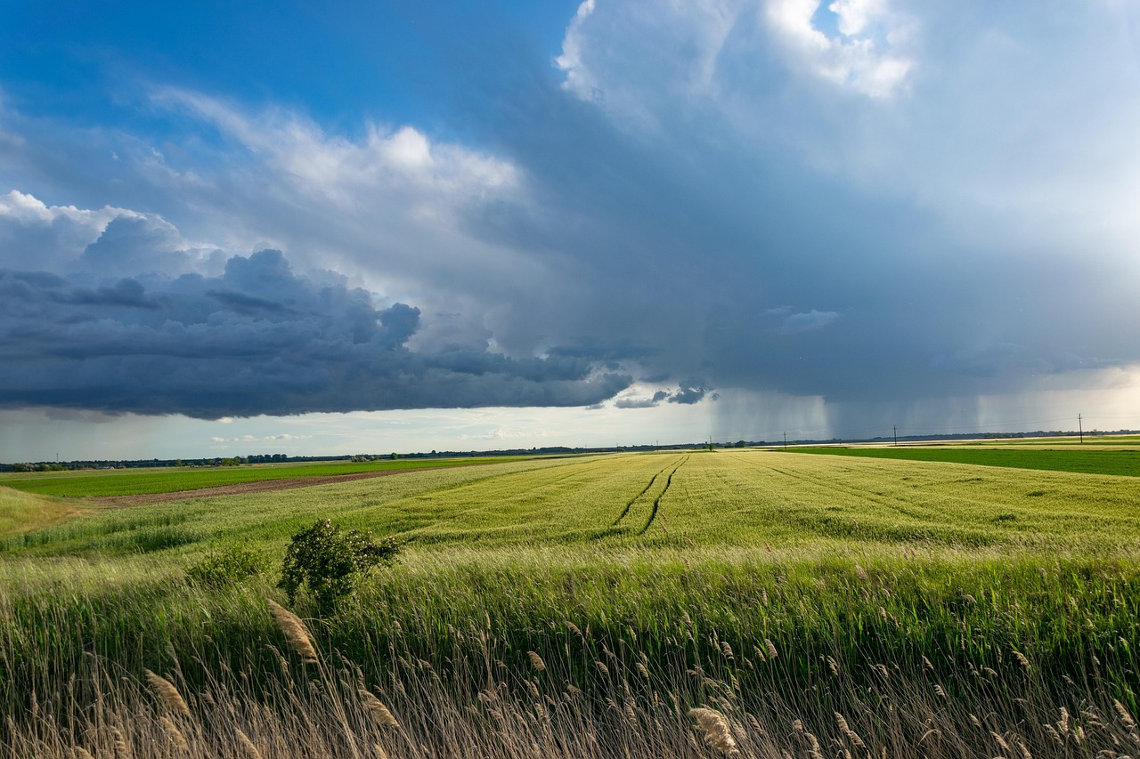 découvrez les nombreux avantages de l'agriculture urbaine, de l'amélioration de la qualité de l'air à la promotion de la biodiversité en milieu urbain. apprenez comment ces pratiques favorisent une alimentation durable et renforcent le lien communautaire.