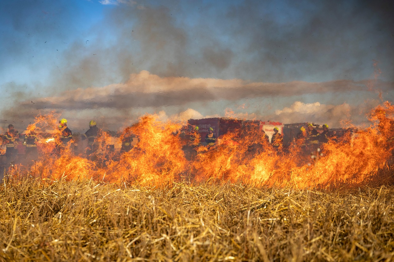 découvrez l'impact des incendies de forêt sur notre environnement et nos communautés. apprenez comment ces catastrophes naturelles se déclenchent, leurs effets dévastateurs et les actions que nous pouvons entreprendre pour les prévenir et atténuer leurs conséquences.