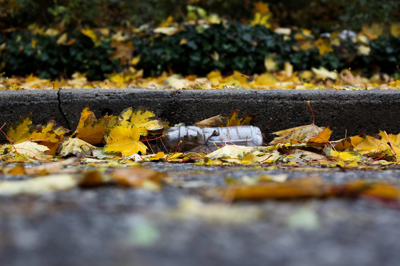 découvrez le mouvement zero waste et apprenez à réduire vos déchets au quotidien. adoptez des pratiques durables pour un mode de vie respectueux de l'environnement et participez à la protection de notre planète.