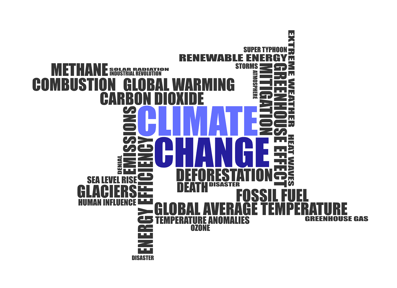 découvrez les impacts et enjeux du changement climatique sur notre planète. explorez des solutions durables et des actions concrètes pour combattre ce phénomène mondial et préserver notre avenir.