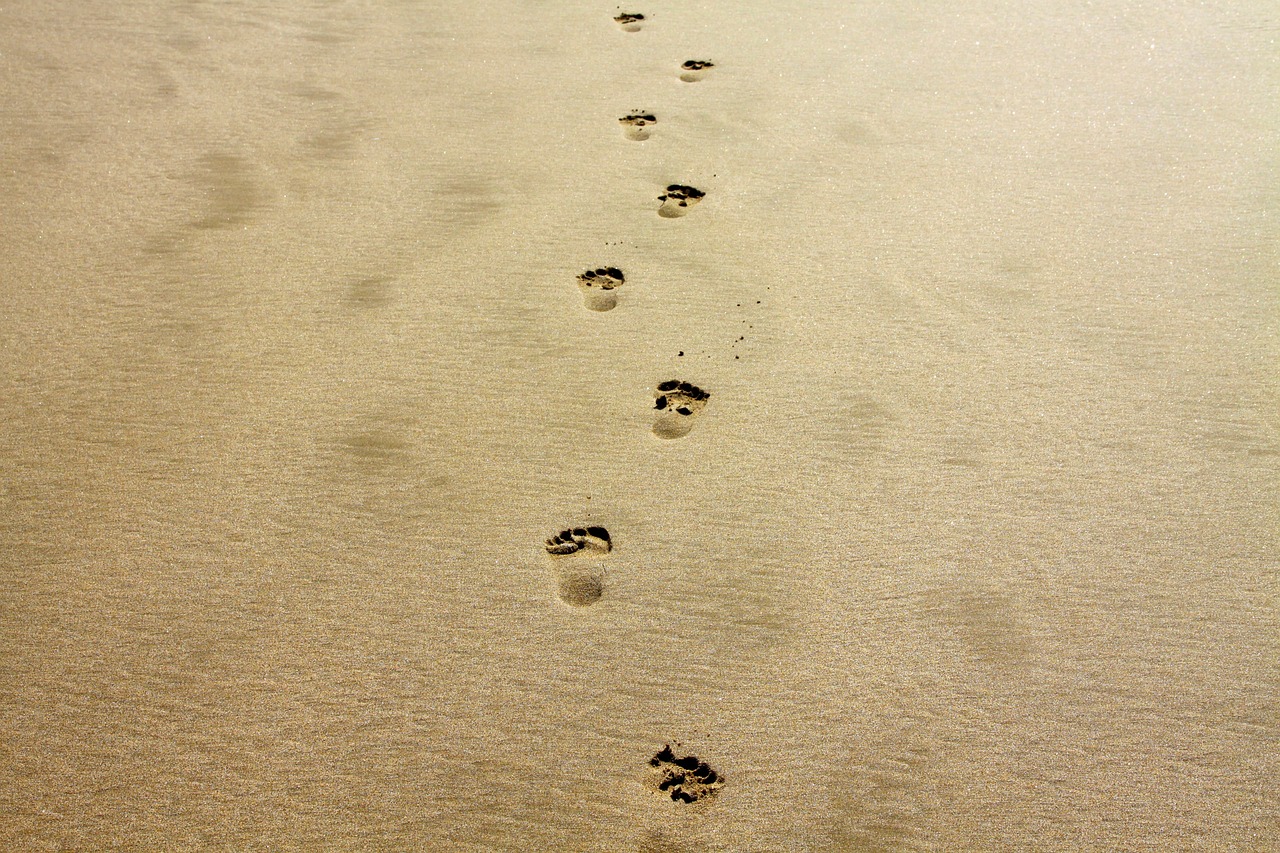 découvrez ce qu'est l'empreinte carbone et son impact sur notre environnement. apprenez à réduire votre empreinte écologique grâce à des gestes simples et efficaces pour préserver notre planète.