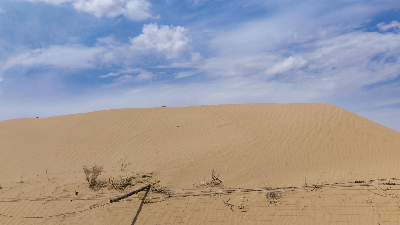 la désertification est un processus de dégradation des terres qui transforme des sols fertiles en zones arides. découvrez les causes, les conséquences et les solutions pour lutter contre ce phénomène alarmant qui menace notre environnement et les communautés vulnérables.