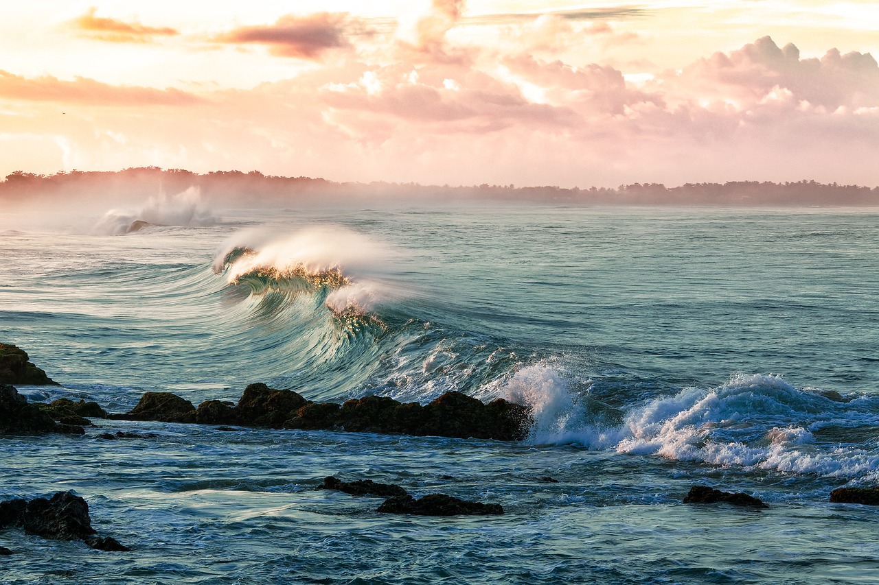 protégez nos océans ! découvrez comment vos actions peuvent préserver la biodiversité marine, lutter contre la pollution et garantir un avenir durable pour les générations futures. engagez-vous pour la protection des océans et faites la différence.