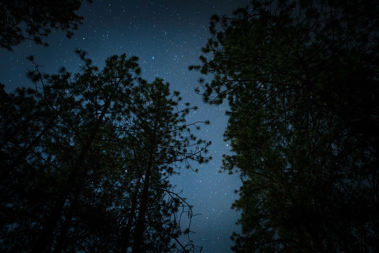 découvrez l'émerveillement de l'observation des étoiles. apprenez à identifier les constellations, les planètes et les merveilles du ciel nocturne tout en profitant d'une expérience apaisante et inspirante. que vous soyez novice ou astronome amateur, plongez dans le monde fascinant de la contemplation céleste.