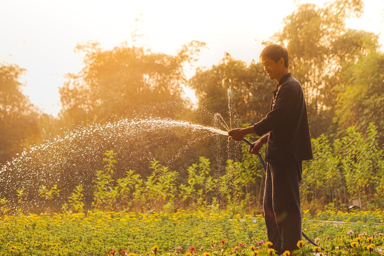 découvrez le jardinage biodynamique, une méthode durable qui respecte les cycles naturels et favorise la biodiversité. apprenez à cultiver des plantes en harmonie avec l'écosystème, tout en améliorant la qualité de votre sol et de vos récoltes.