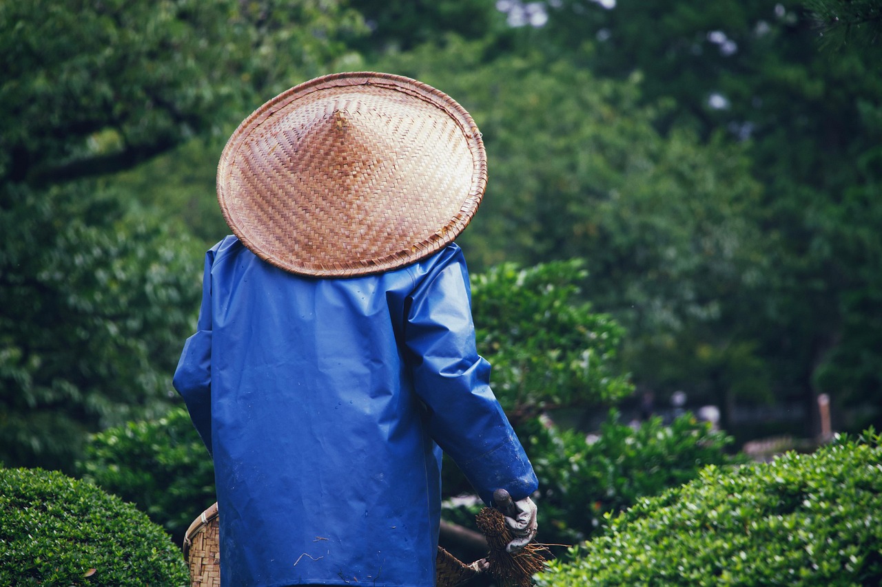 découvrez le jardinage biodynamique, une approche holistique et durable qui célèbre les cycles naturels. apprenez à cultiver des plantes en harmonie avec la terre, favorisant la biodiversité et améliorant la qualité des récoltes, tout en respectant l’environnement.