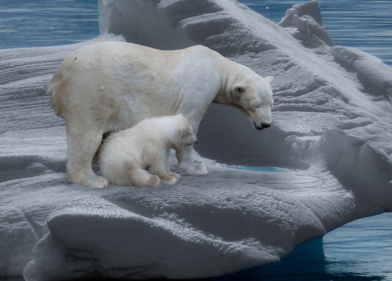 découvrez les enjeux du changement climatique, ses impacts sur notre planète et les actions à entreprendre pour préserver notre avenir. engagez-vous pour une solution durable et informez-vous sur les initiatives écologiques.