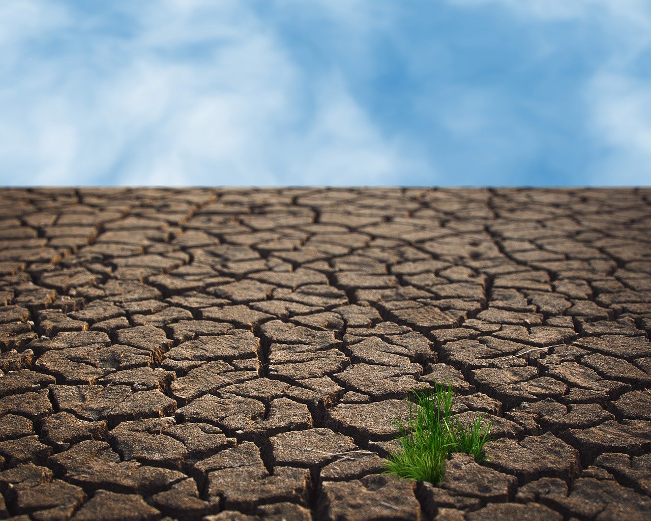 découvrez les enjeux du changement climatique, ses impacts sur notre planète et les solutions pour un avenir durable. informez-vous sur les actions individuelles et collectives à entreprendre pour lutter efficacement contre ce phénomène mondial.