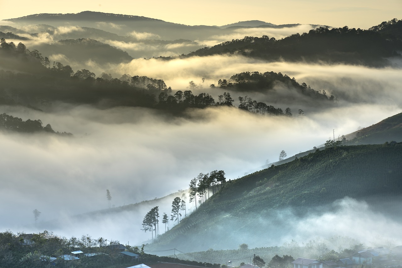 découvrez l'importance de l'environnement, ses défis actuels et les solutions durables pour préserver notre planète. explorez des conseils pratiques pour vivre en harmonie avec la nature et contribuer à un avenir plus vert.