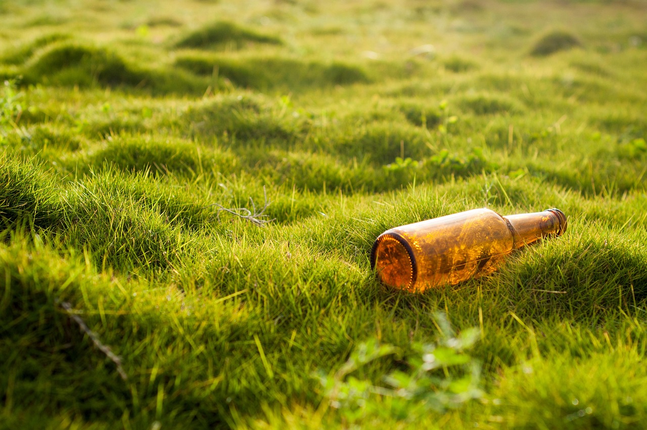 découvrez comment protéger nos océans et préserver la biodiversité marine. engagez-vous pour une planète plus saine grâce à nos conseils et initiatives pour la protection des mers.