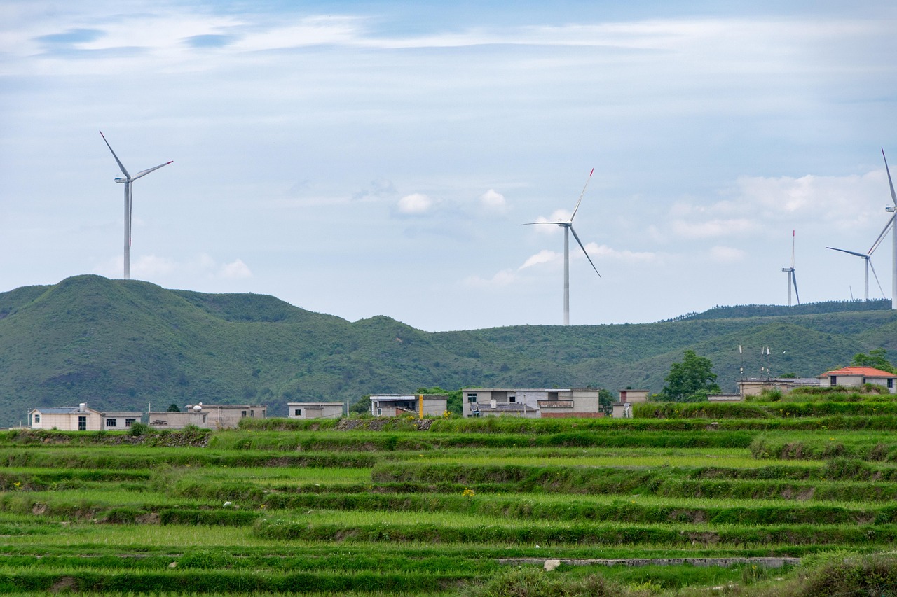 découvrez les principes et les pratiques du développement durable, une approche essentielle pour préserver notre planète tout en répondant aux besoins des générations présentes et futures. apprenez comment intégrer des solutions durables dans votre quotidien et contribuer à un avenir plus respectueux de l'environnement.