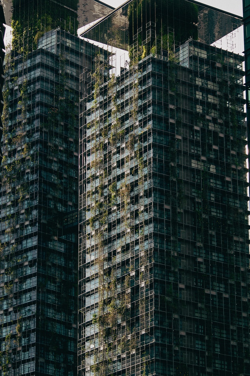 découvrez des pratiques durables pour un avenir meilleur. apprenez comment adopter des méthodes respectueuses de l'environnement dans votre vie quotidienne, que ce soit à la maison, au travail ou dans la communauté. engagez-vous pour un mode de vie plus écologique et responsable.