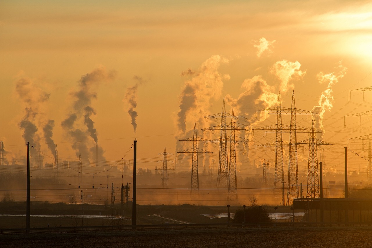 Protection de l’environnement : 10 actions simples pour agir au quotidien