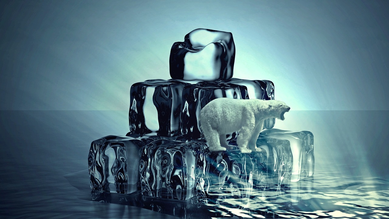 découvrez les enjeux et les impacts du changement climatique sur notre planète. explorez les solutions durables pour atténuer ses effets et agir pour un avenir meilleur.