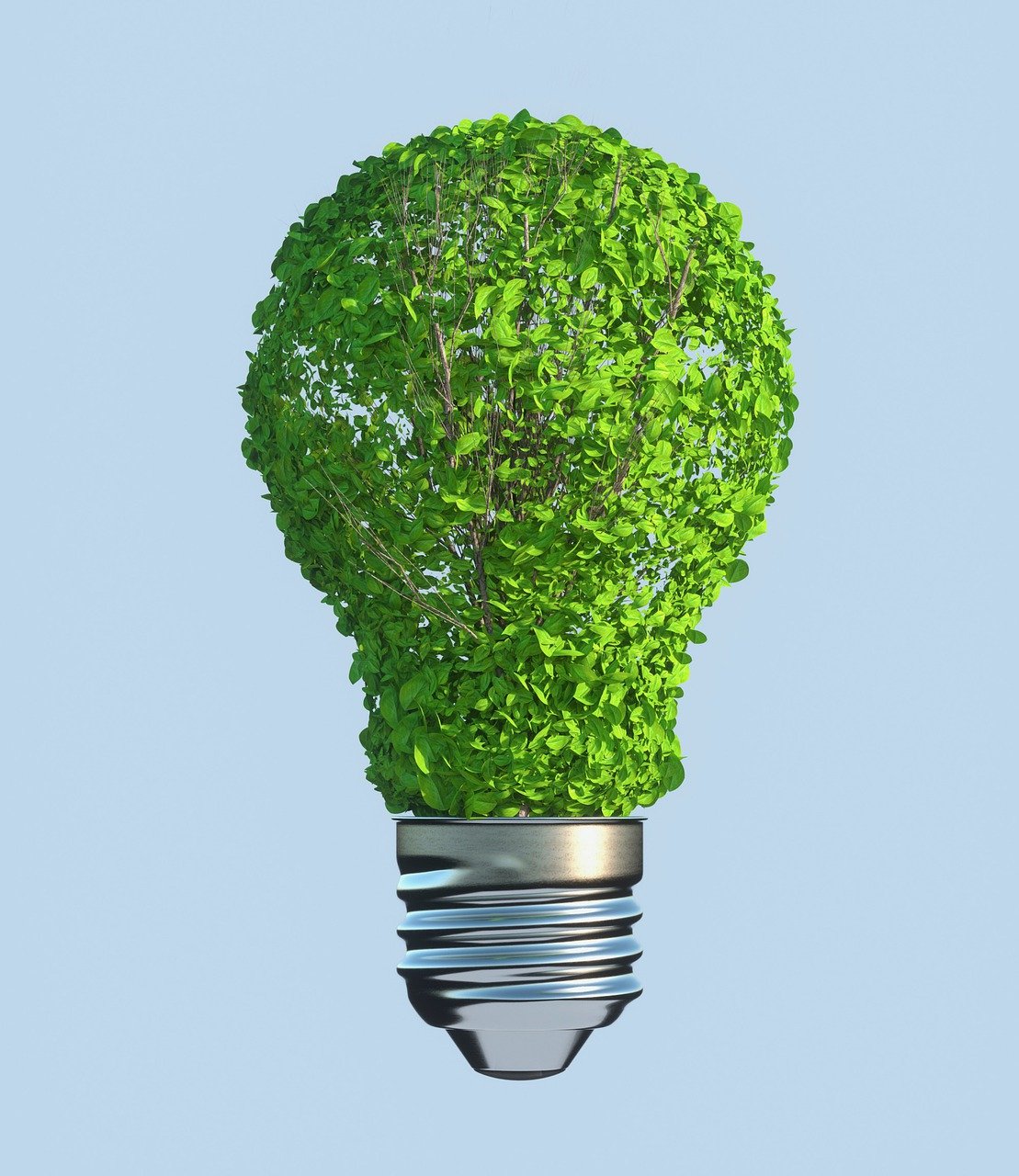 découvrez l'importance de la durabilité dans notre monde moderne. apprenez comment adopter des pratiques écoresponsables pour préserver notre planète tout en garantissant un avenir meilleur pour les générations à venir.