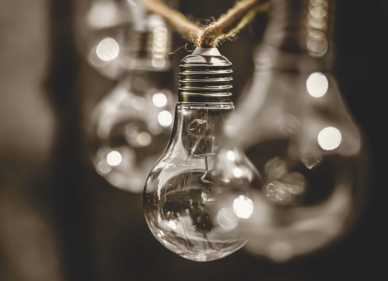 découvrez comment la durabilité transforme notre monde : des pratiques écoresponsables aux innovations vertes, explorez les stratégies pour un avenir plus respectueux de l'environnement.