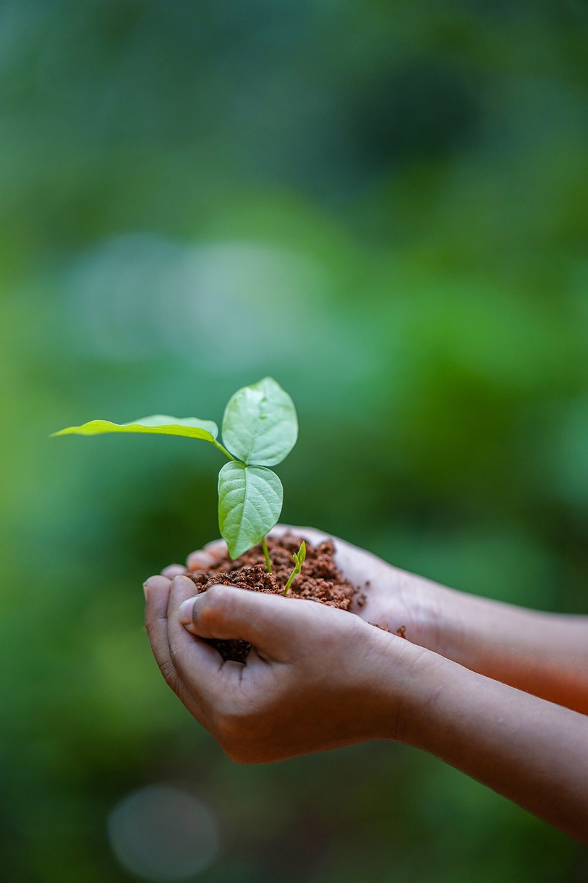 célébrez la journée de la terre avec des actions significatives pour la planète. découvrez des activités, des conseils écologiques et des initiatives pour protéger notre environnement et promouvoir la durabilité. ensemble, faisons la différence pour un avenir meilleur.