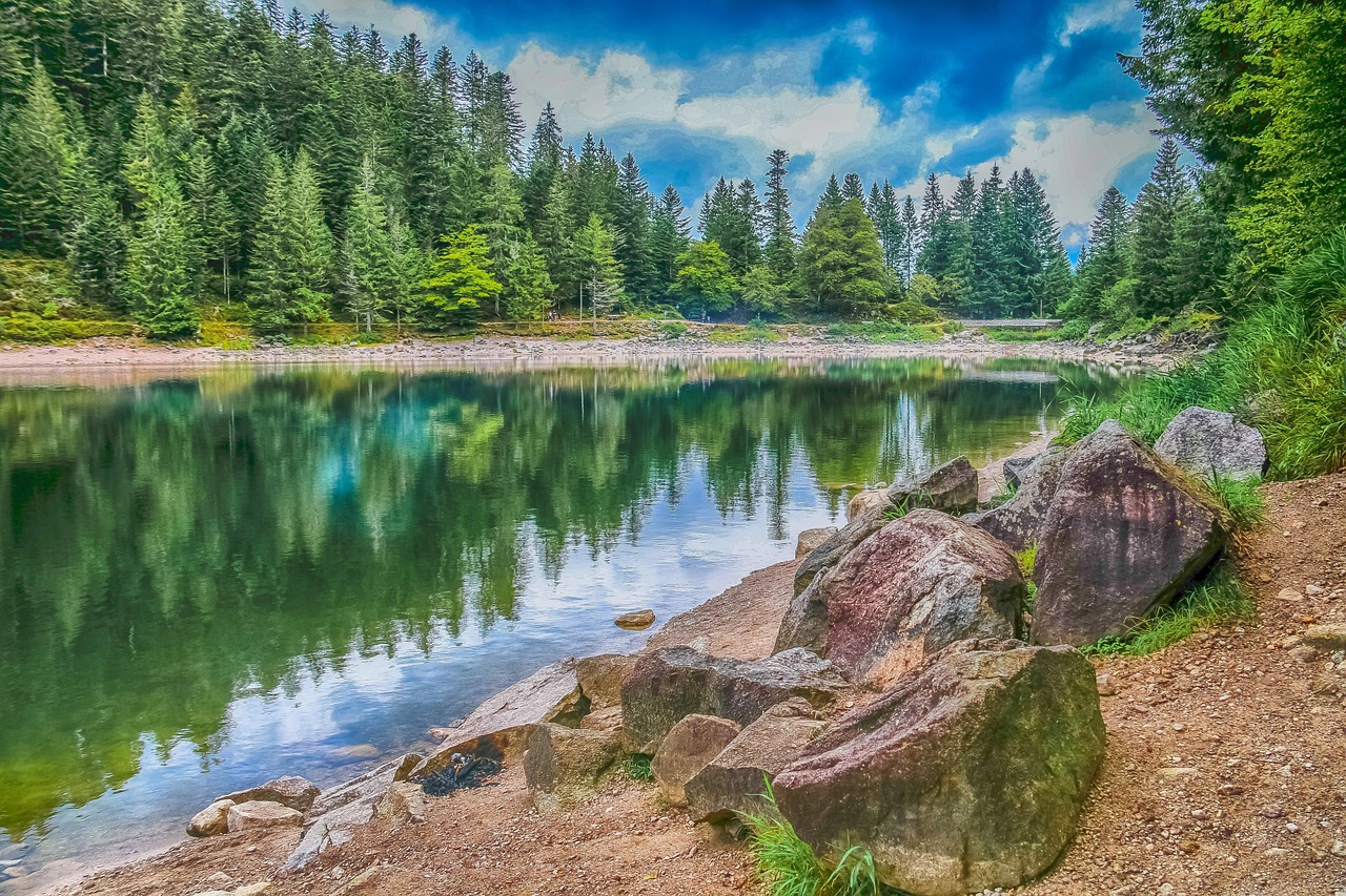 découvrez l'importance de la biodiversité pour notre planète, son rôle essentiel dans les écosystèmes et les menaces qui pèsent sur elle. explorez des solutions et des actions à entreprendre pour protéger cette richesse naturelle et assurer un avenir durable.