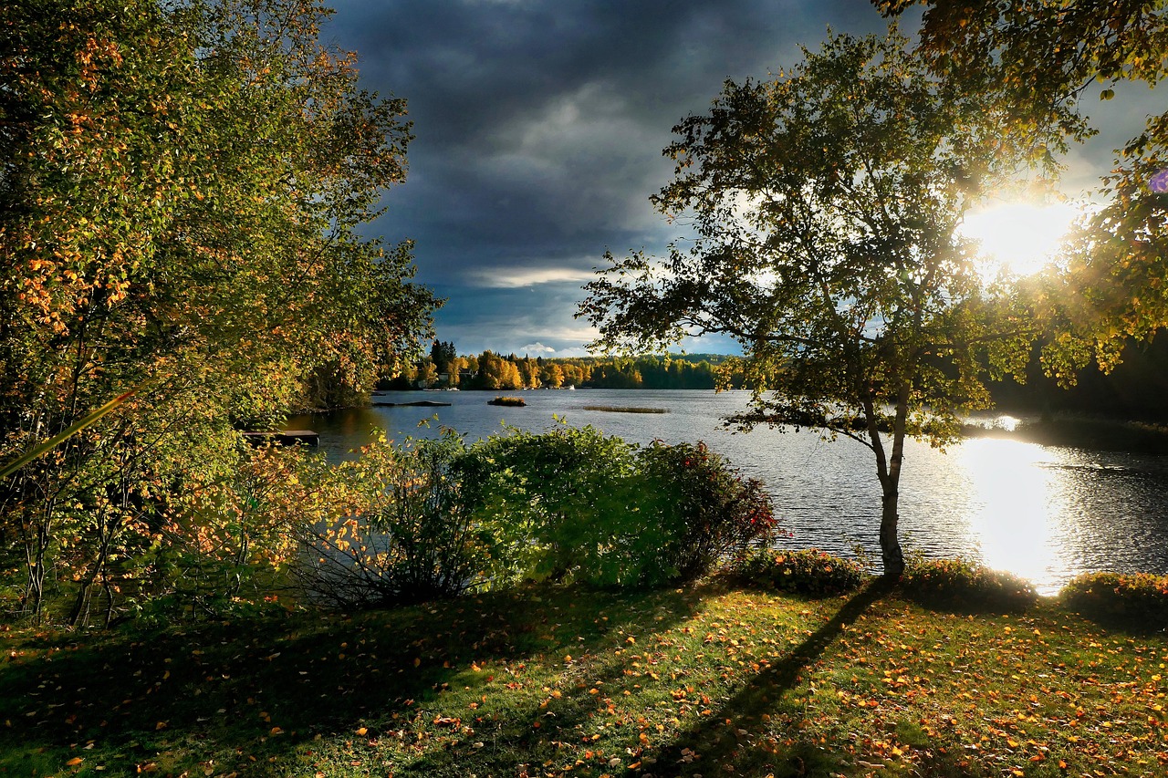 découvrez l'importance de la biodiversité pour notre planète. explorez les différentes espèces, écosystèmes et les actions nécessaires pour préserver notre patrimoine naturel. engagez-vous en faveur d'une biodiversité durable et comprenez son rôle essentiel dans le maintien de l'équilibre écologique.