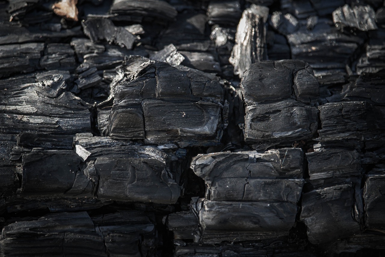 découvrez ce qu'est l'empreinte carbone, son impact sur l'environnement et les moyens d'agir pour réduire votre impact écologique au quotidien. apprenez comment diminuer votre empreinte carbone et contribuer à un avenir durable.