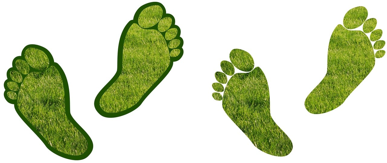découvrez l'empreinte carbone : comprenez son impact sur l'environnement, apprenez à la mesurer et découvrez des solutions pour réduire votre propre empreinte afin de contribuer à un avenir durable.