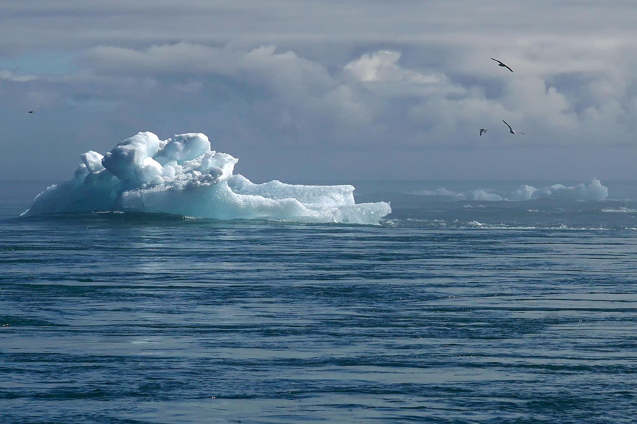 découvrez les enjeux et les impacts du changement climatique sur notre planète. informez-vous sur les causes, les conséquences et les solutions possibles pour lutter contre cette crise environnementale.