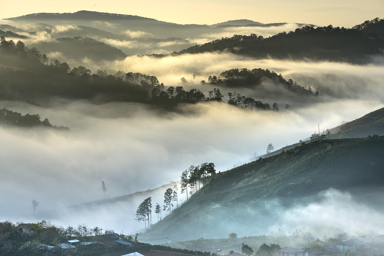 découvrez les enjeux cruciaux de l'environnement : conservation de la biodiversité, lutte contre le changement climatique et pratiques durables pour préserver notre planète. informez-vous sur les actions à entreprendre pour un avenir meilleur.
