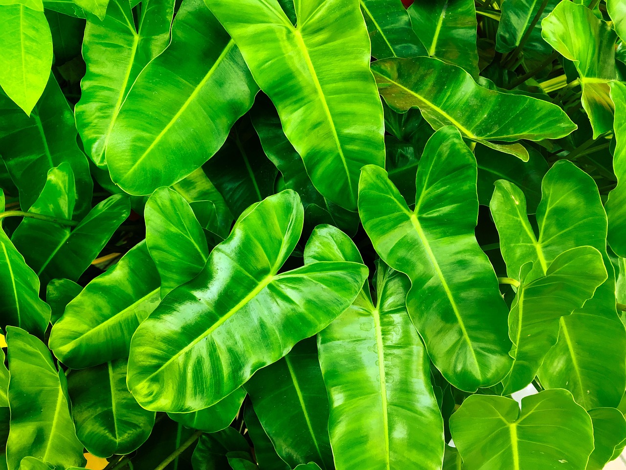 découvrez notre programme environnemental consacré à la protection de la planète. rejoignez-nous dans nos efforts pour préserver la biodiversité, promouvoir le développement durable et sensibiliser les communautés aux enjeux écologiques. agissons ensemble pour un avenir plus vert!