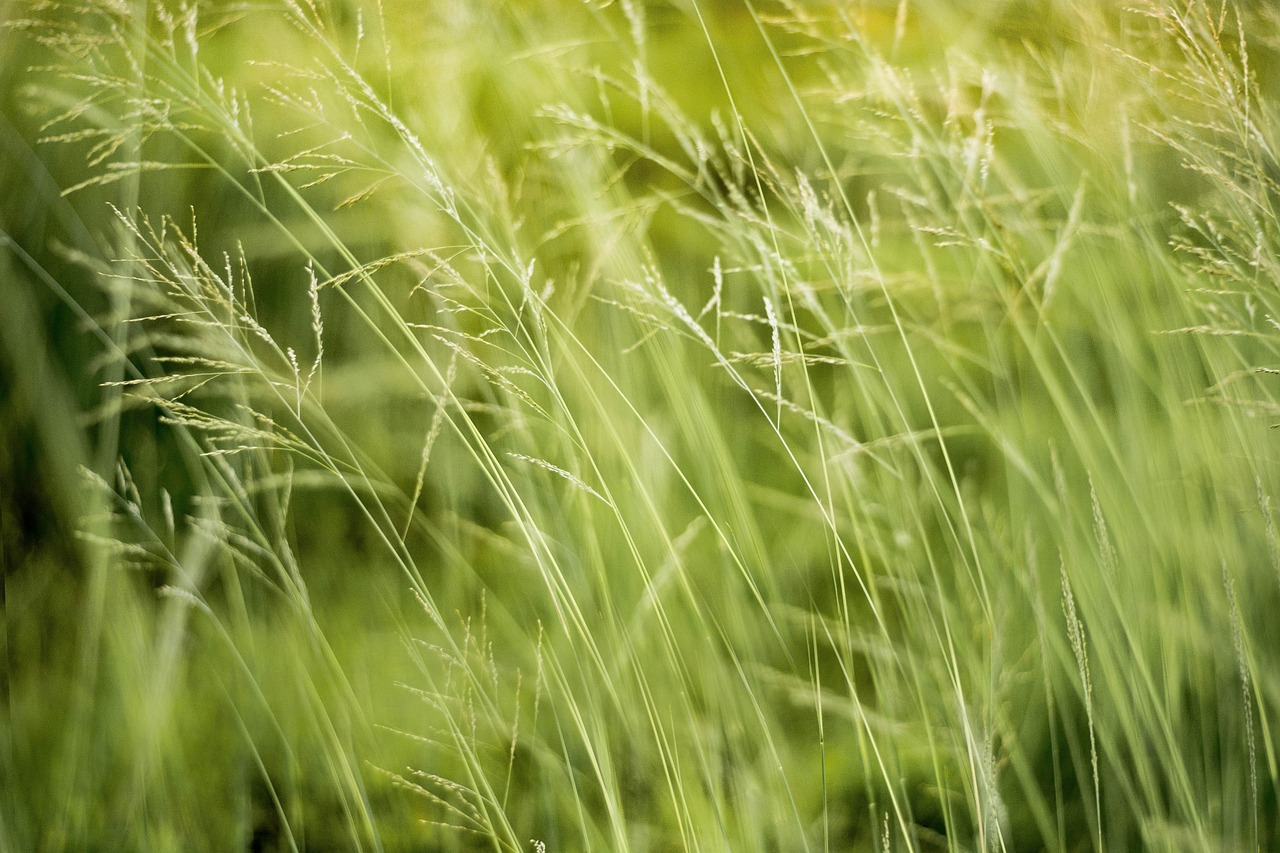 découvrez notre programme environnemental innovant qui vise à protéger notre planète tout en proposant des solutions durables. engagez-vous avec nous pour un avenir plus vert, en participant à des initiatives de réduction des déchets, de reforestation et de sensibilisation à l'éco-responsabilité.