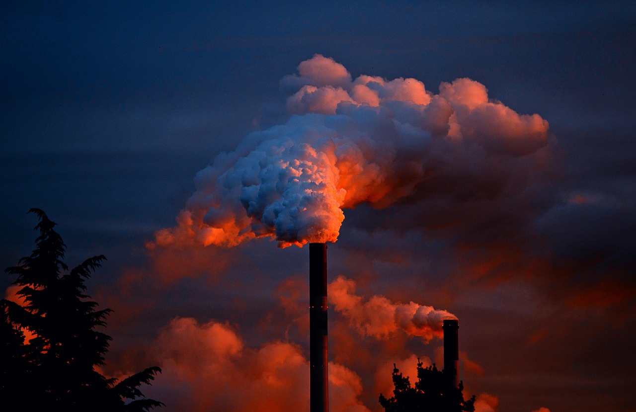 découvrez l'impact de la pollution des sols sur l'environnement et la santé humaine. apprenez les causes, les conséquences et les solutions pour préserver notre terre pour les générations futures.