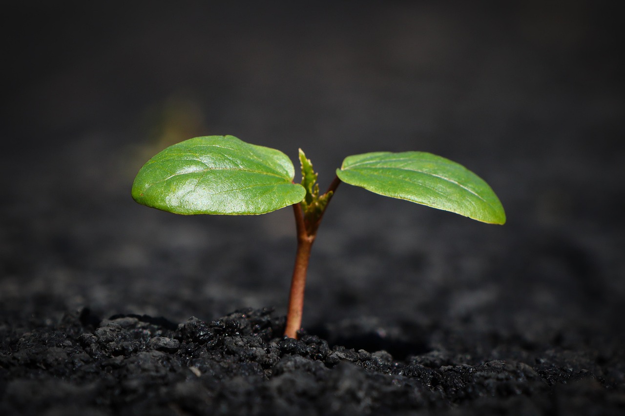 découvrez les enjeux de la pollution des sols, ses causes, ses conséquences sur l'environnement et la santé humaine, ainsi que les solutions pour restaurer nos terres et préserver la biodiversité.