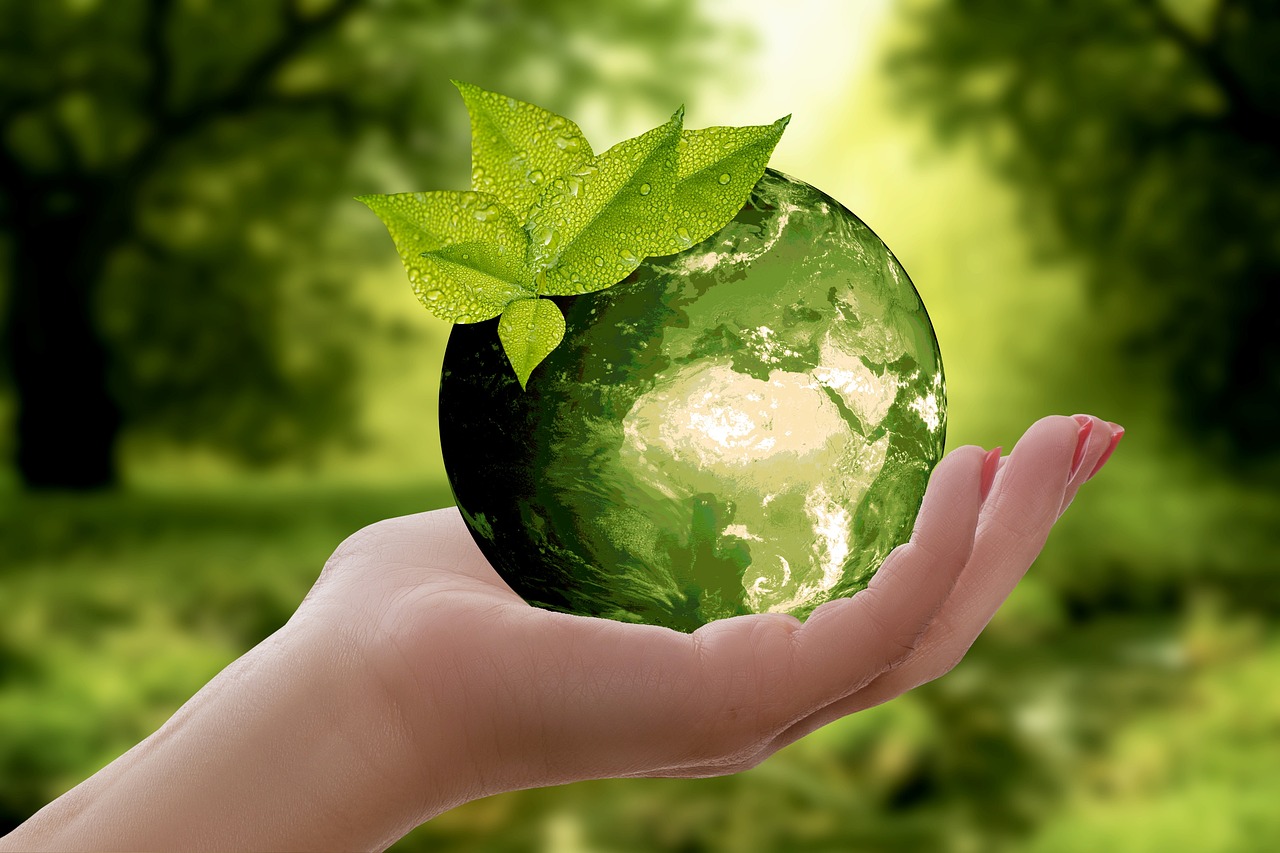 découvrez l'importance de la durabilité et comment elle façonne notre avenir. explorez des pratiques, des innovations et des solutions pour un monde plus respectueux de l'environnement.